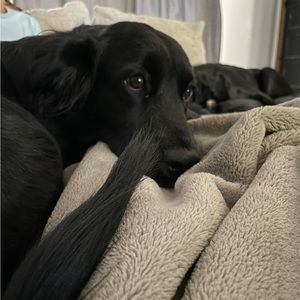 Meet your Posher, Audrina